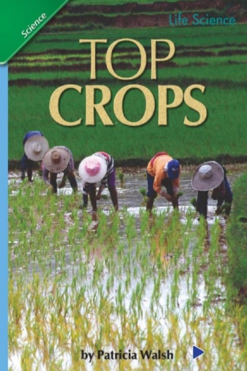 top crops