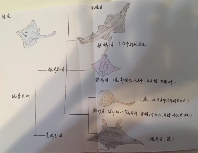 海洋館一日游