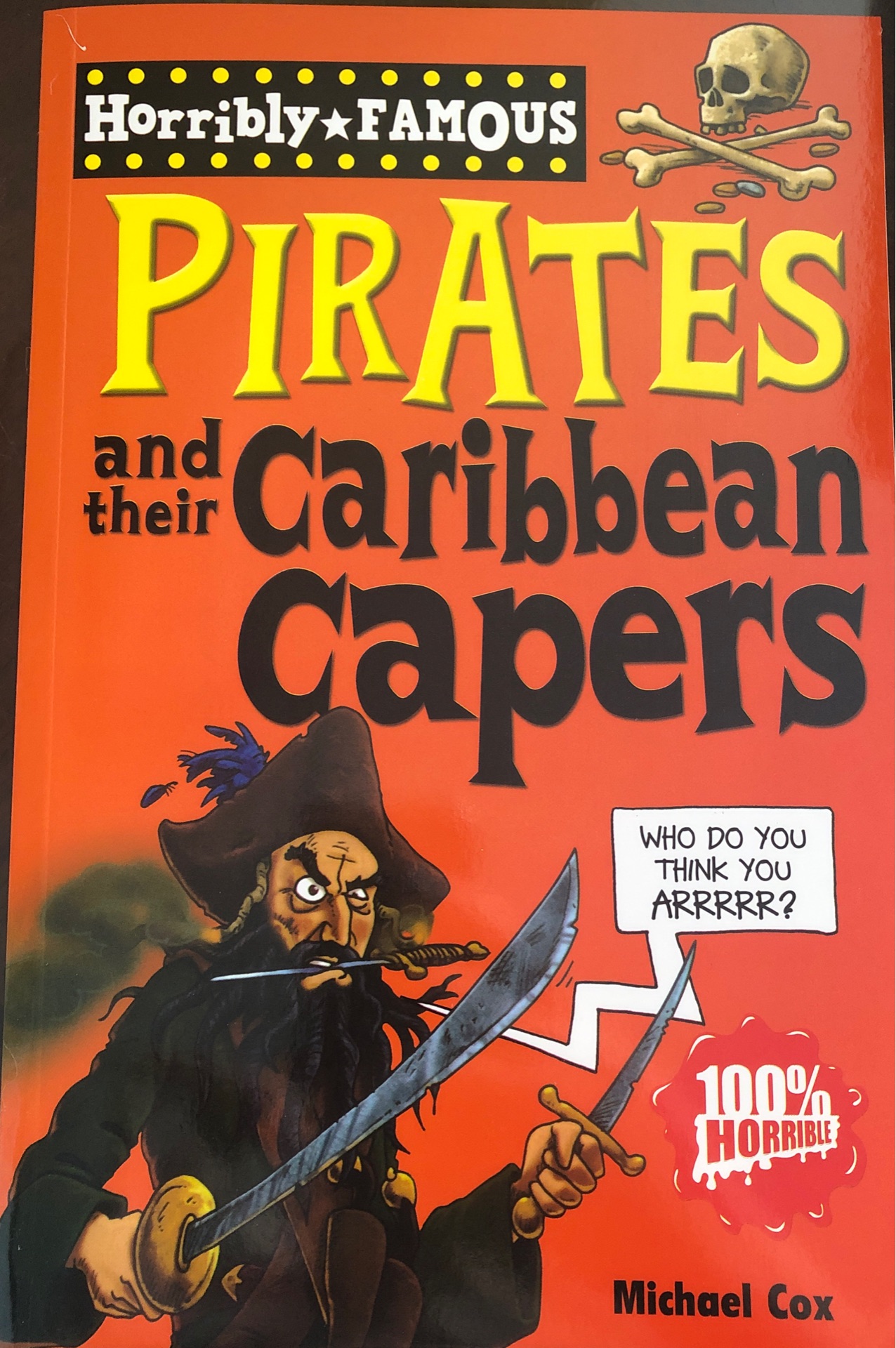 Pirates and their caribbean capers