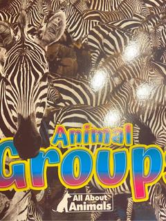 Animal Groups (eyediscover)