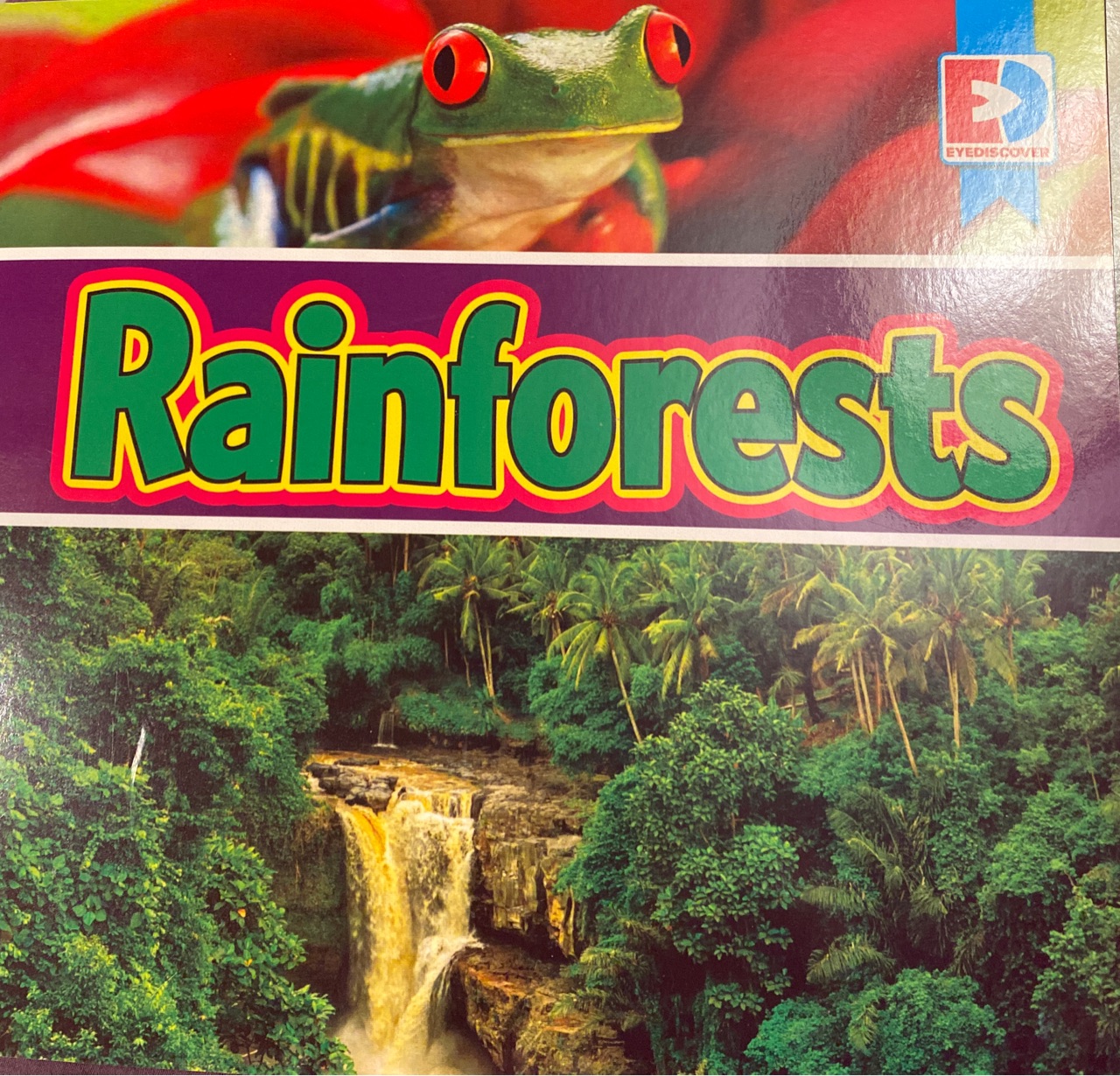 Rainforests