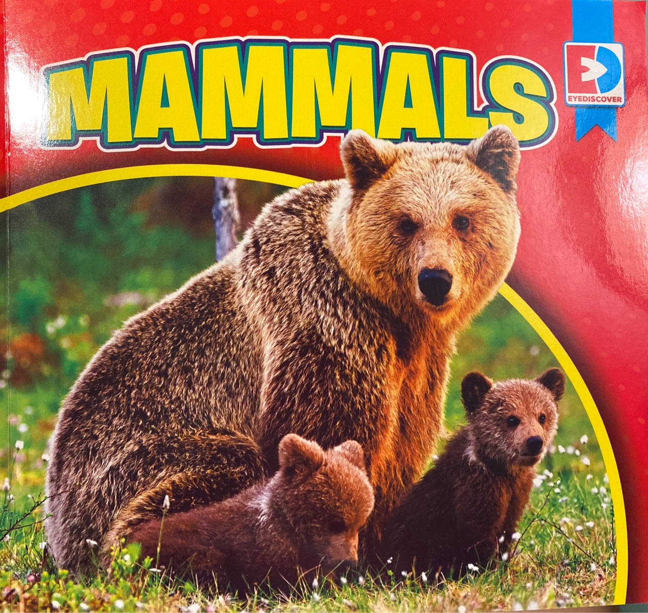 Mammals