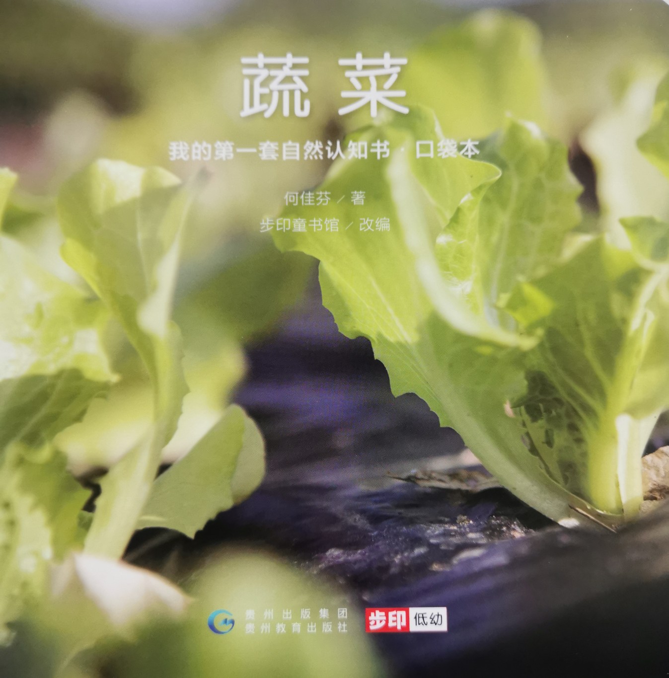 我的第一套自然認(rèn)知書: 蔬菜