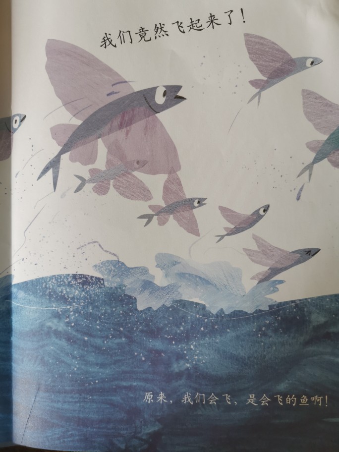 飞鱼打电话是干嘛的 飞鱼打电话是干嘛的