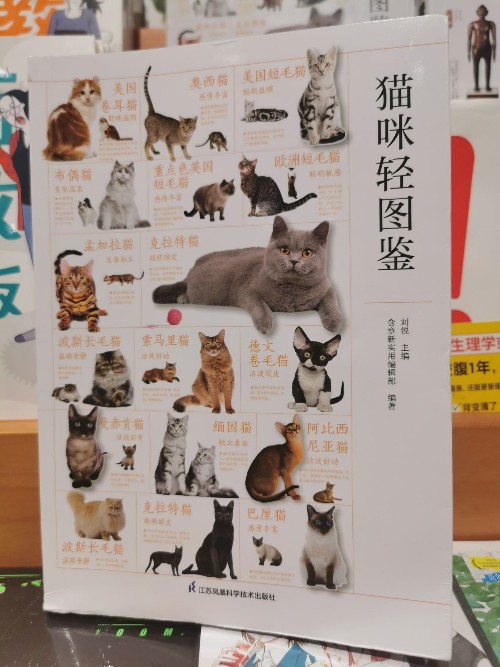 貓咪輕圖鑒