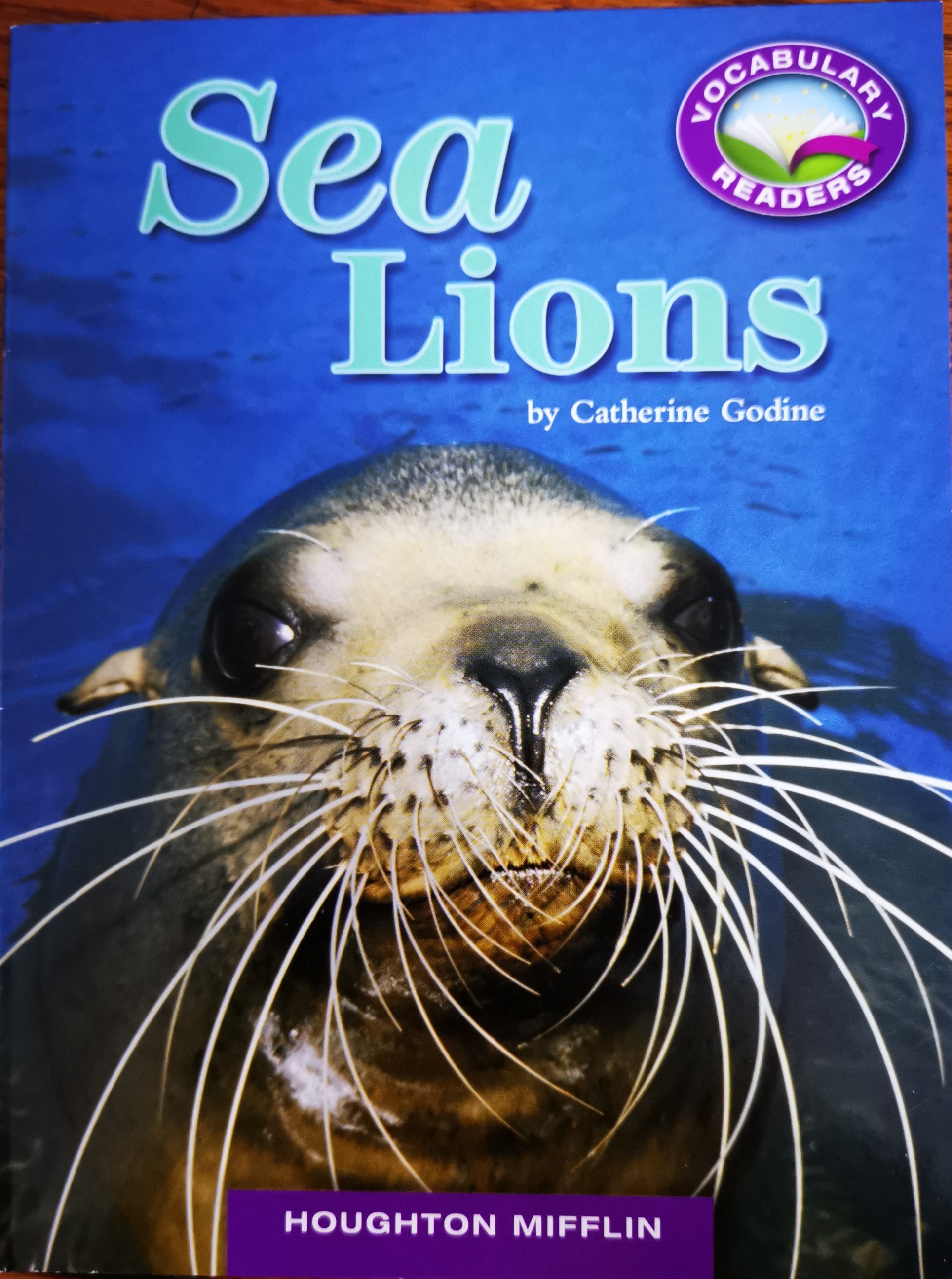 Sea lions