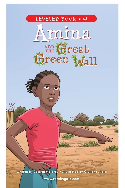 Amina and the great green wall