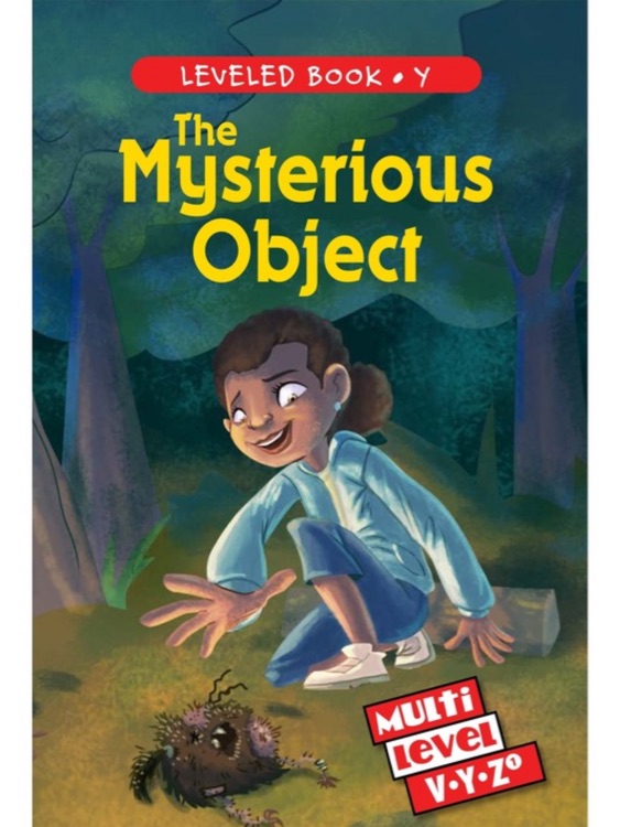 the mysterious object