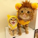 瑩瑩喵