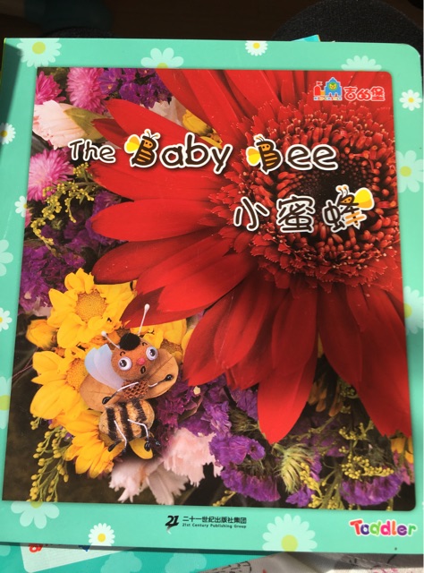 The  baby Bee