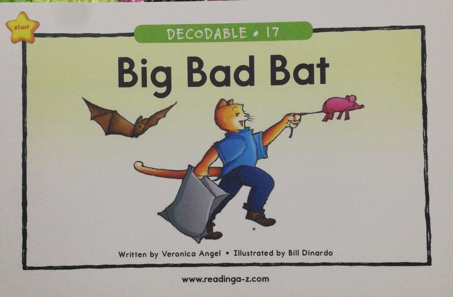 Raz Decodable 17: Big Bad Bat