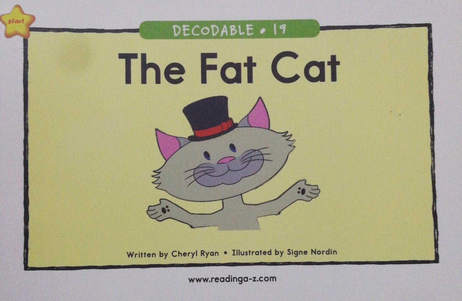 Raz Decodable 19 : The Fat Cat