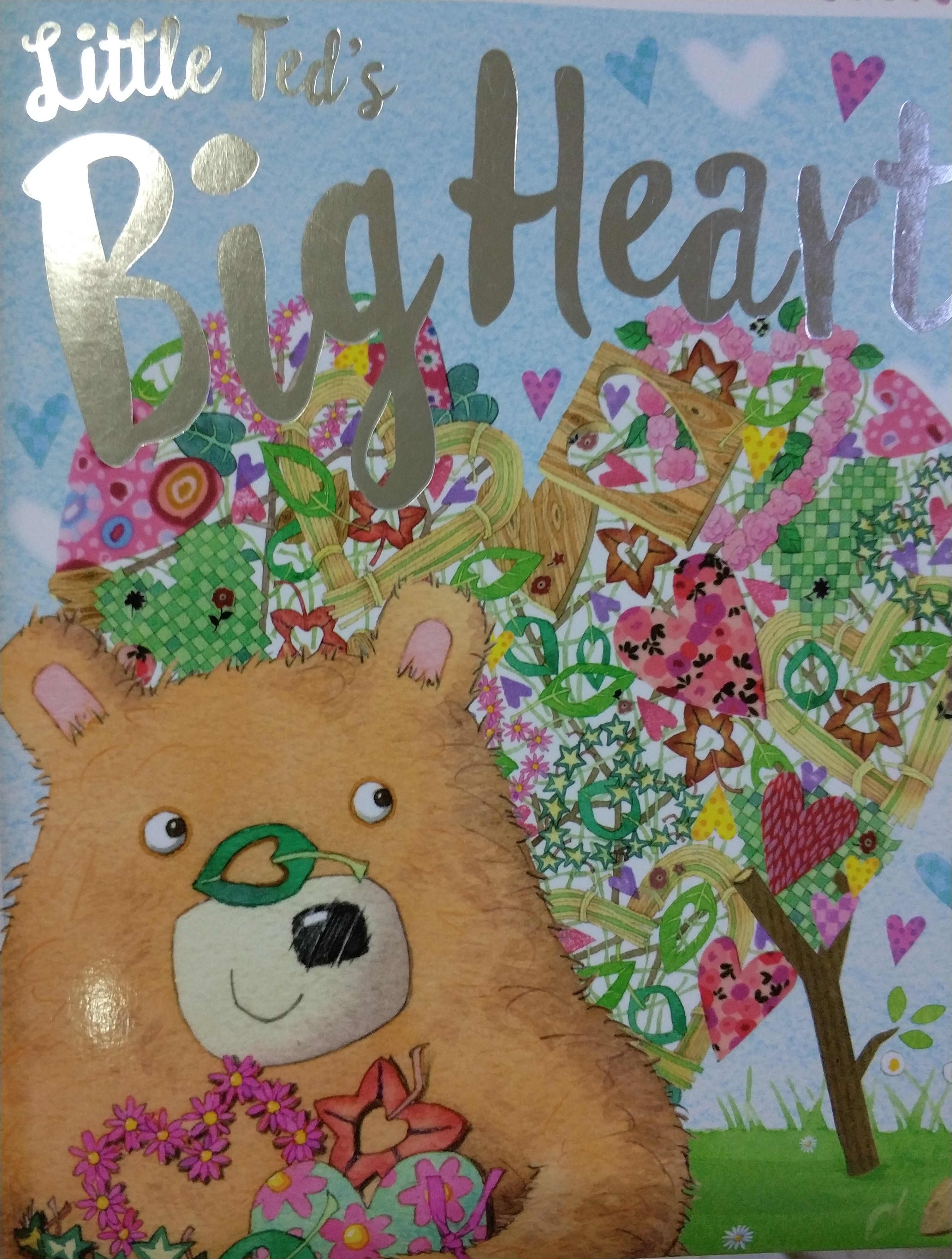 little ted's big heart