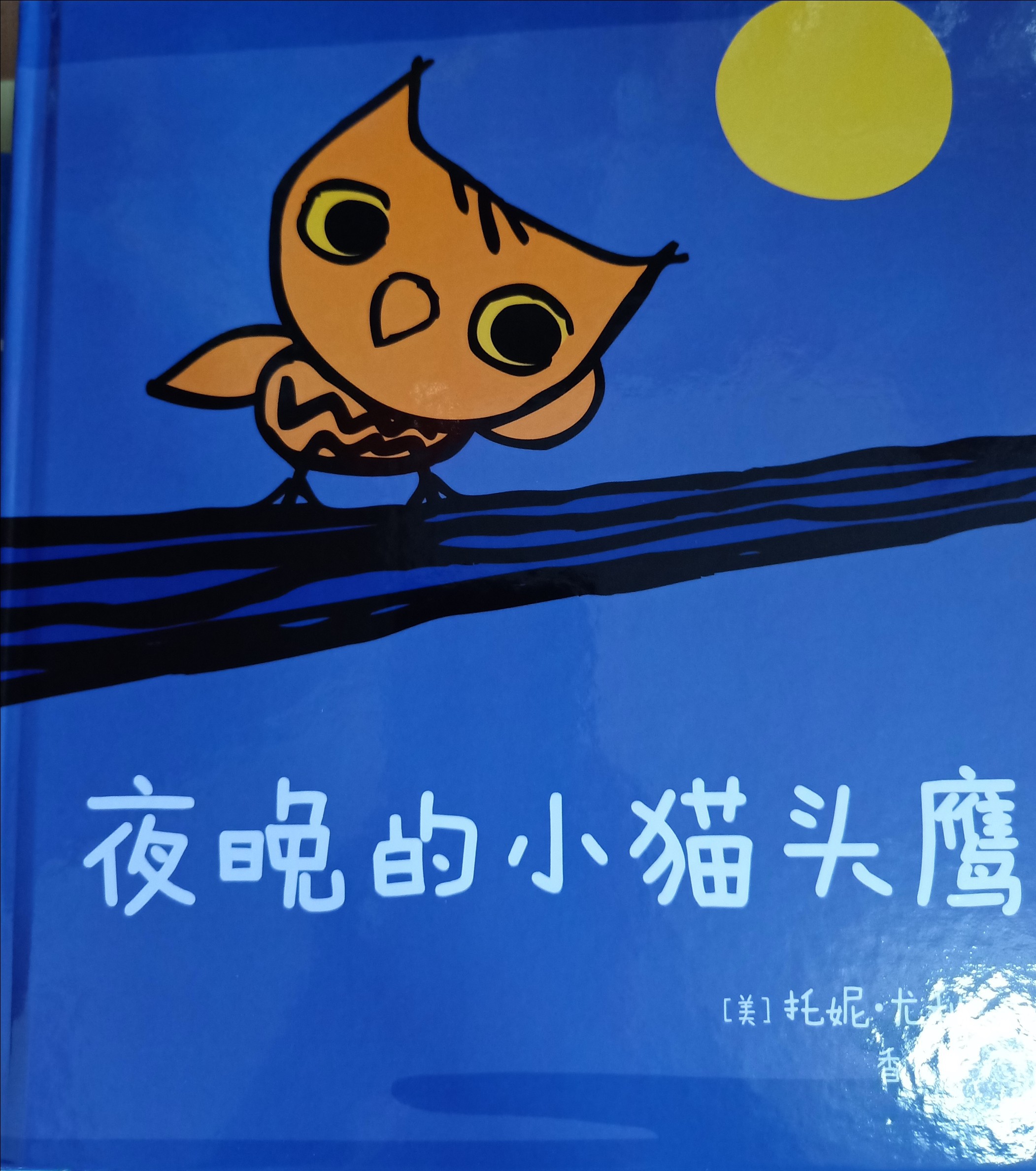 夜晚的小貓頭鷹