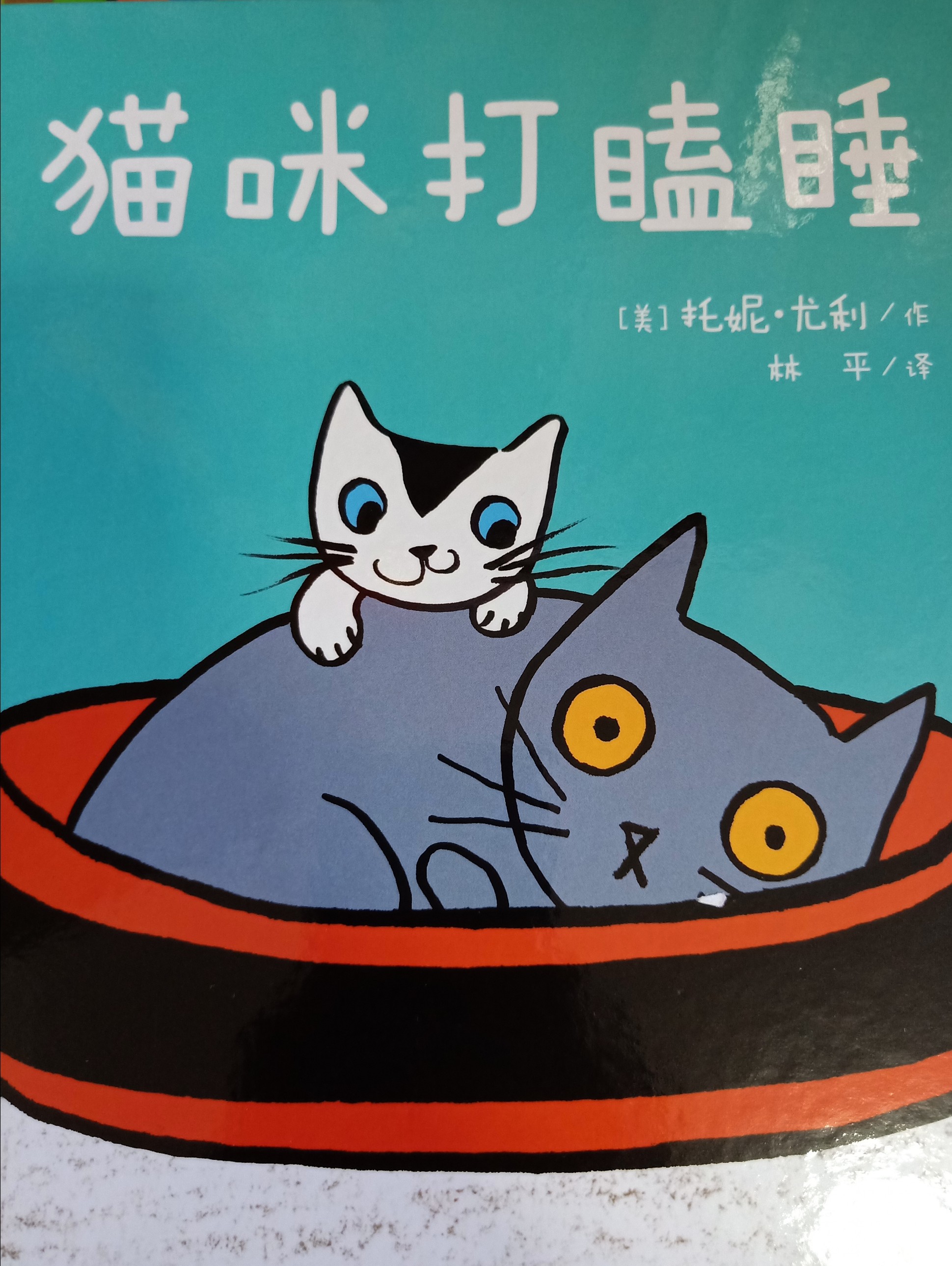 貓咪打瞌睡