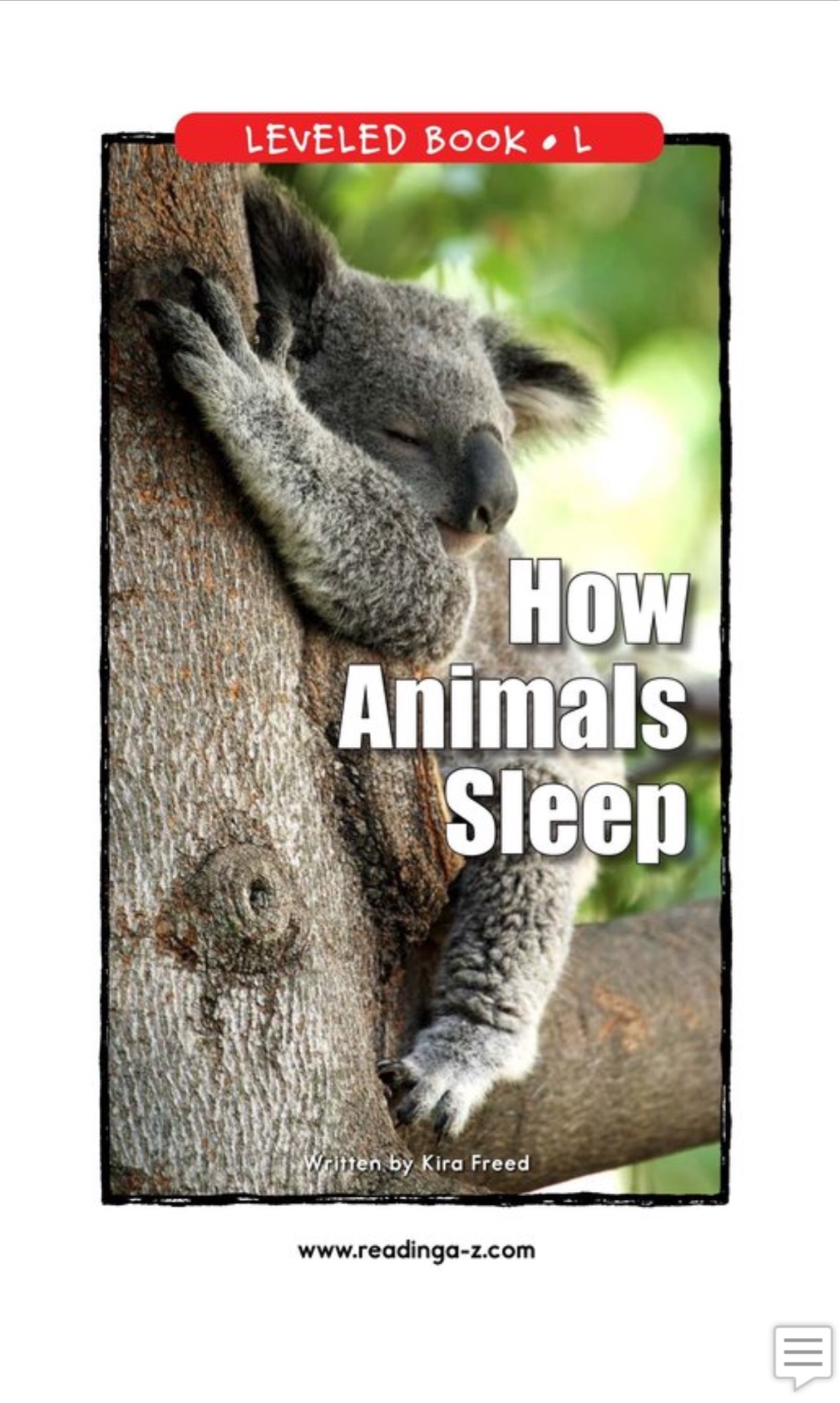 How Animals Sleep