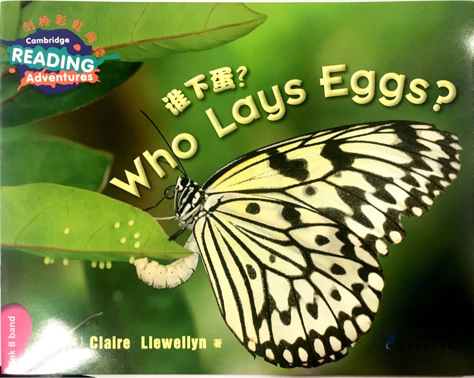 劍橋彩虹少兒英語分級閱讀(第一級別): Who lays eggs?