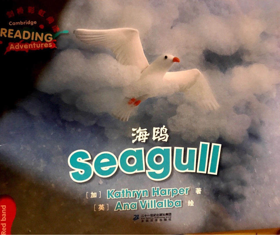 劍橋彩虹少兒英語分級閱讀(第一級別):Seagull