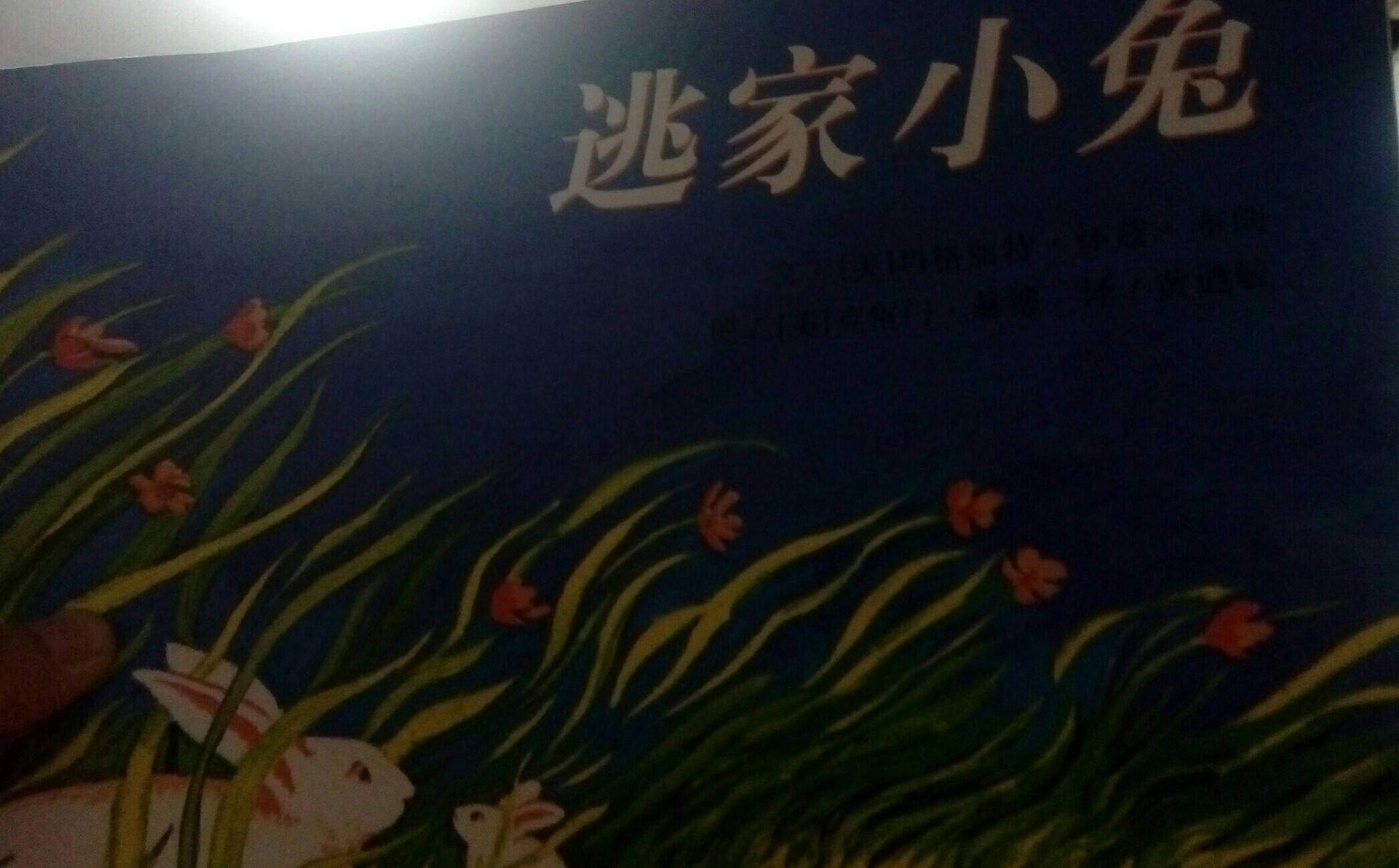 逃家小兔