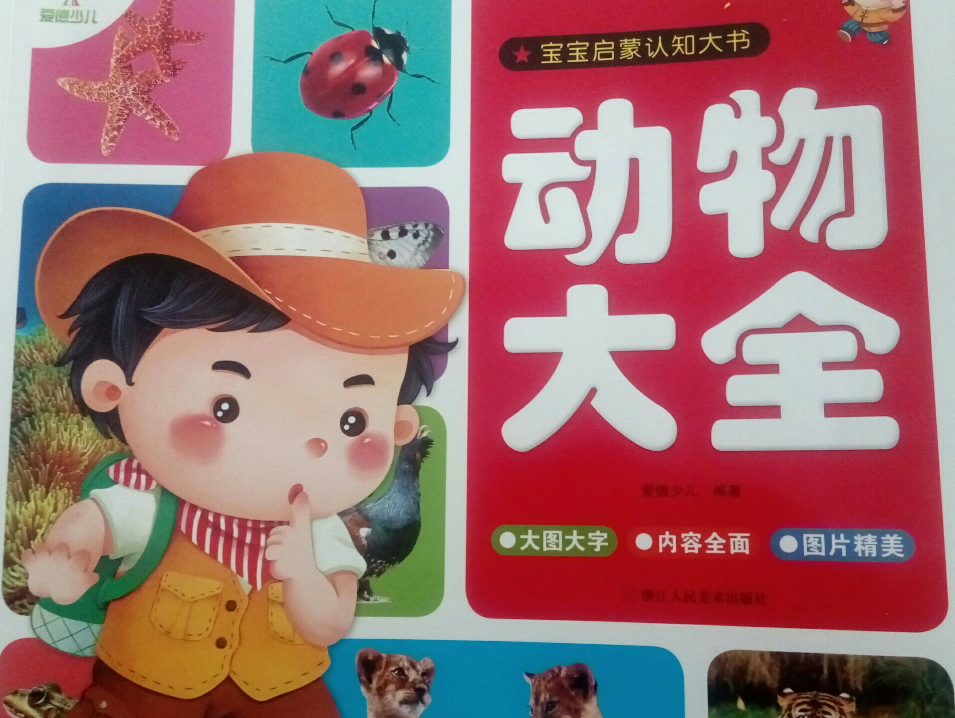 動(dòng)物大全