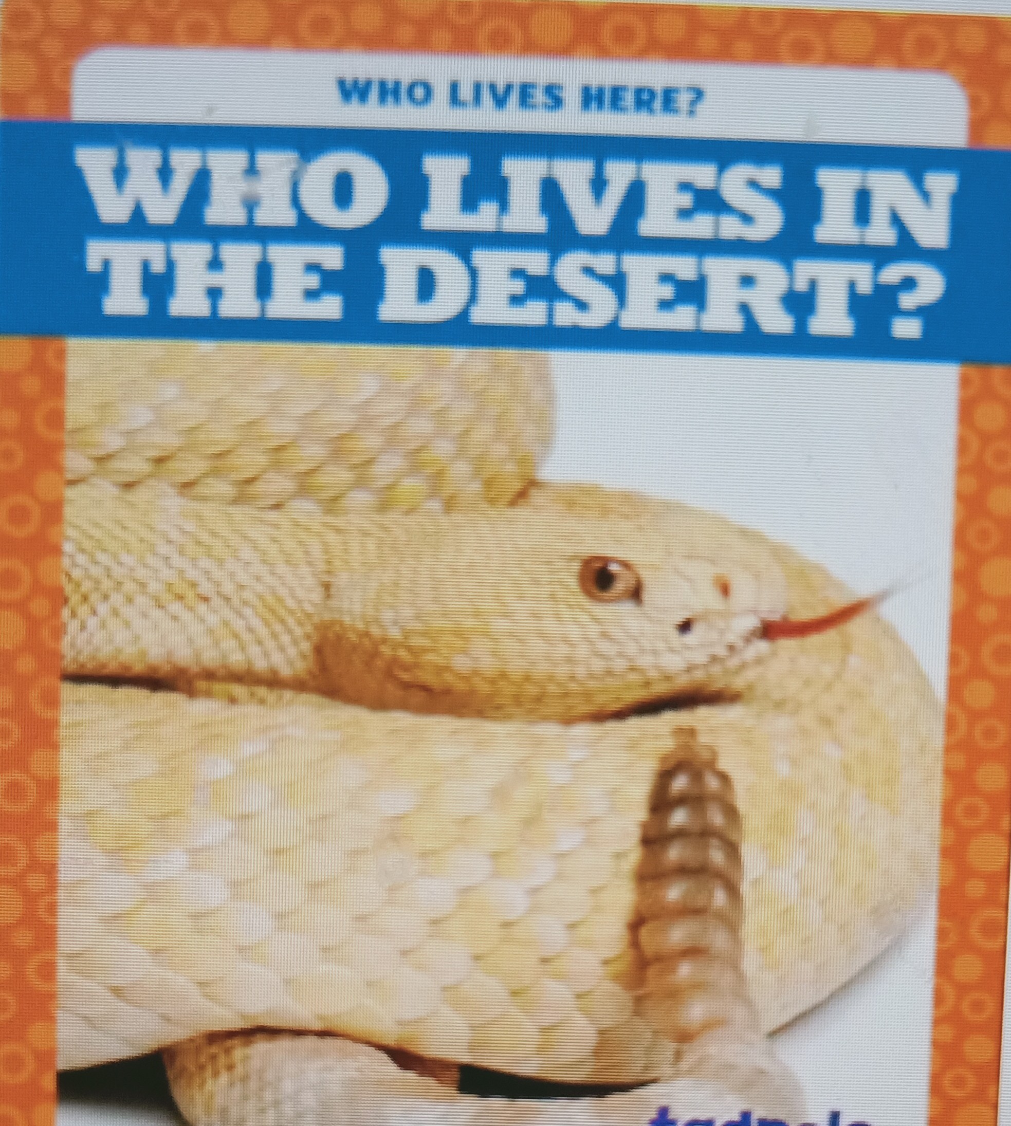 who lives in the desert