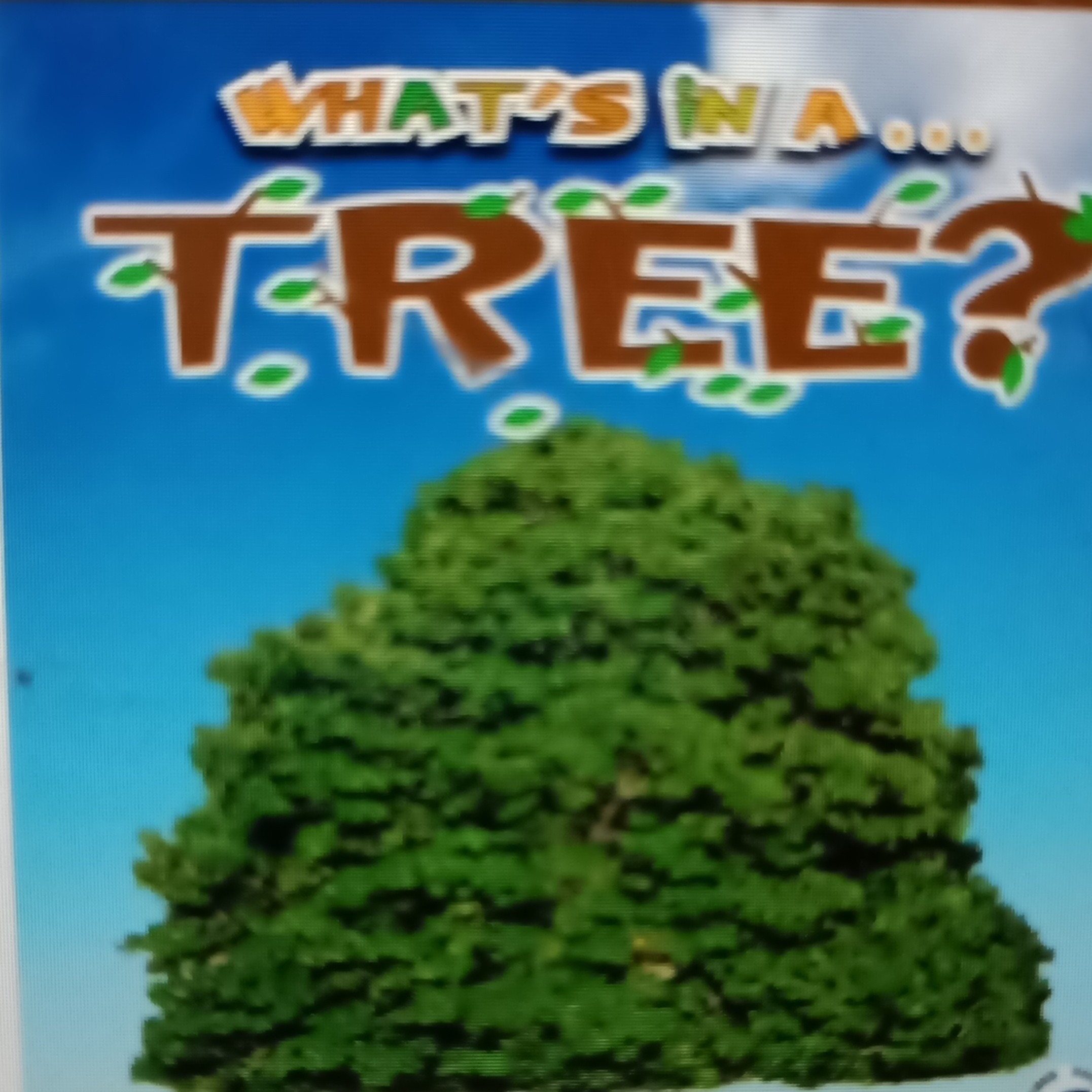 what's in a tree