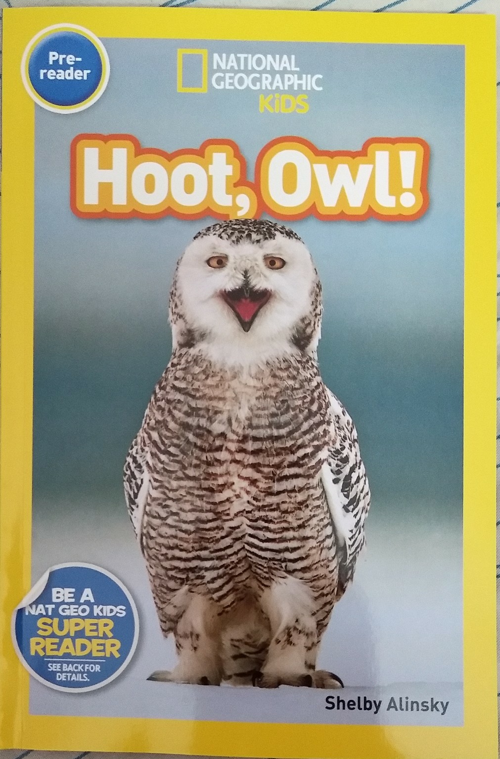 Hoot,Owl!