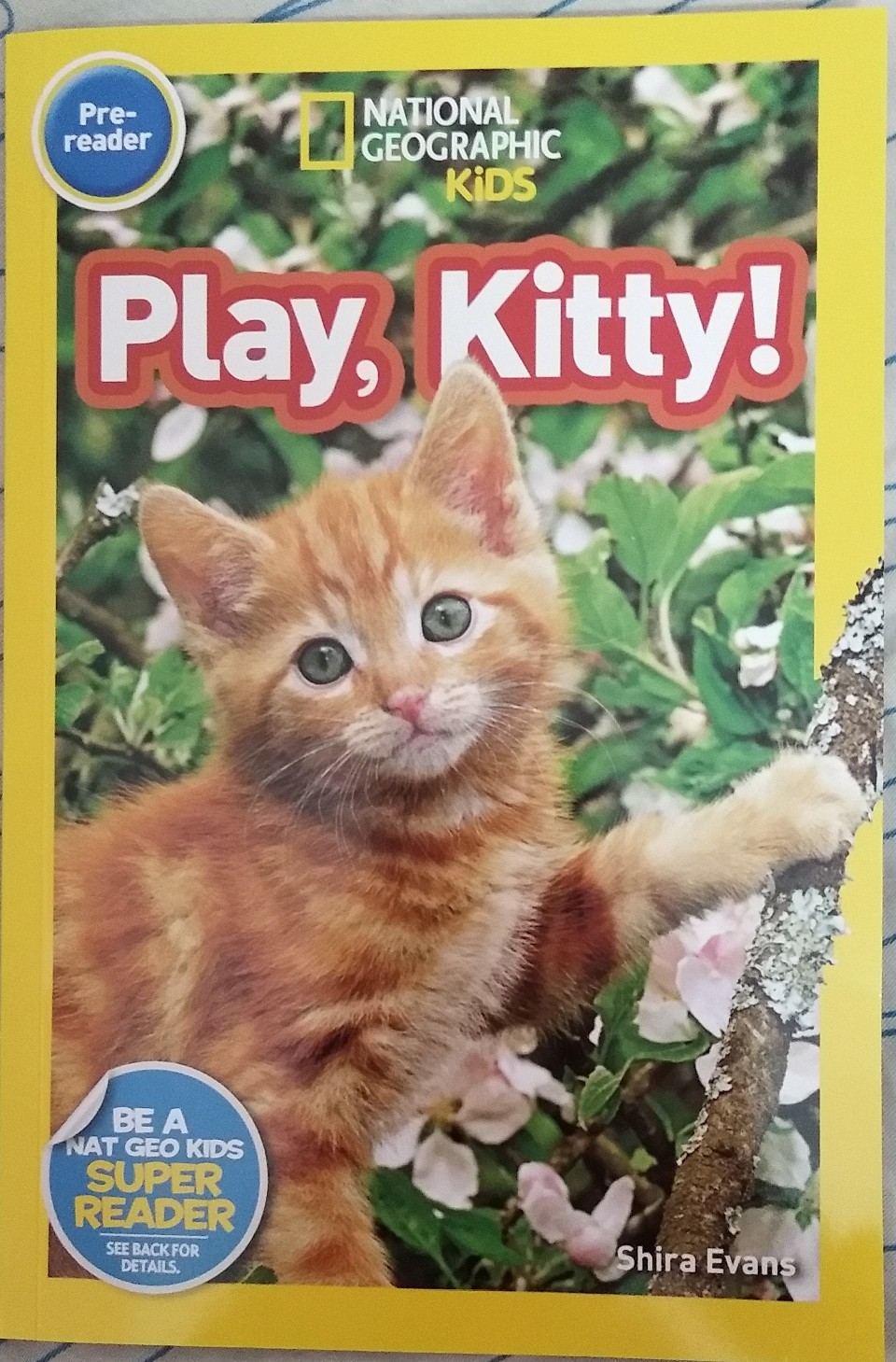 Play,Kitty!