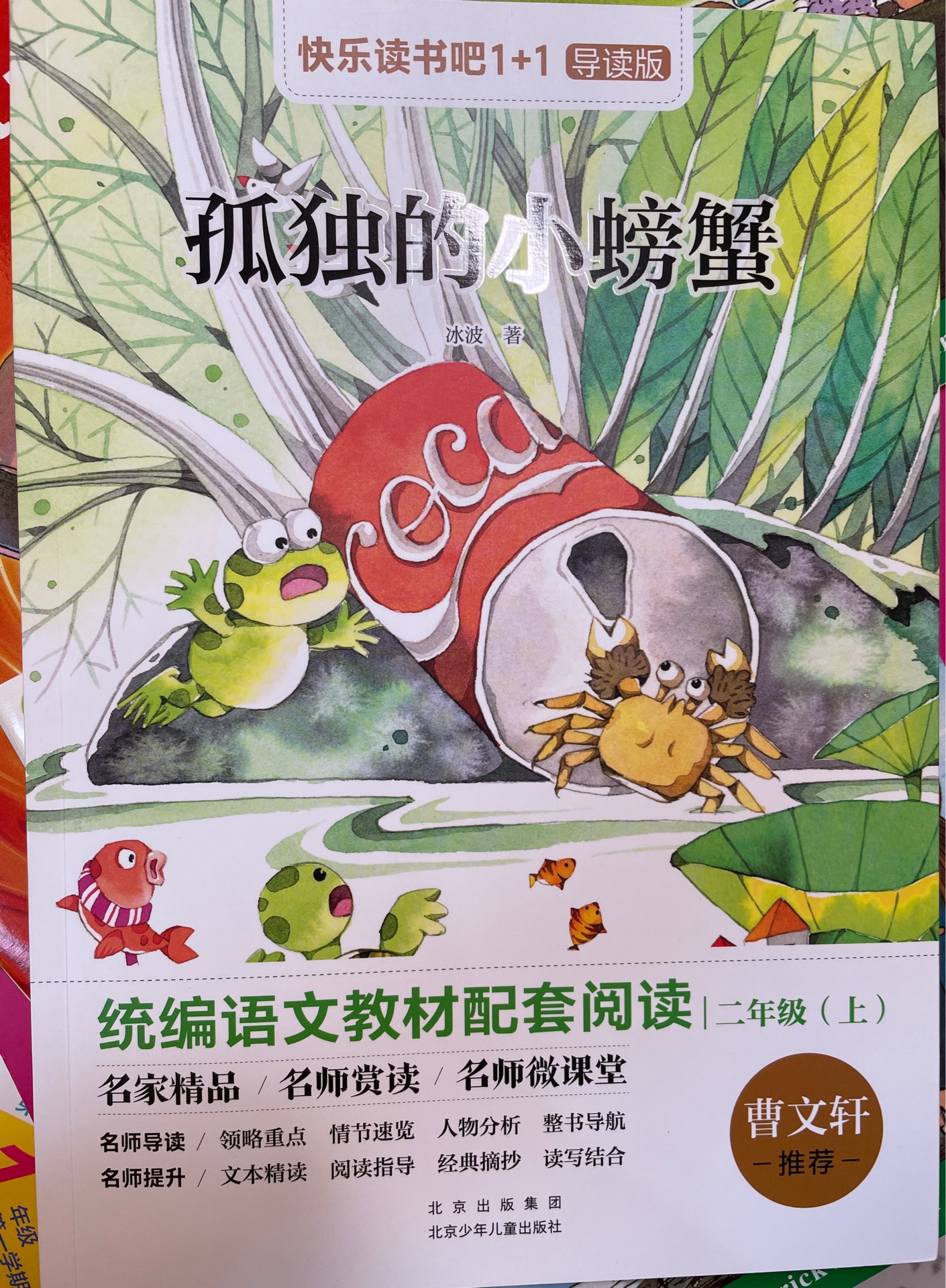 孤獨的小螃蟹