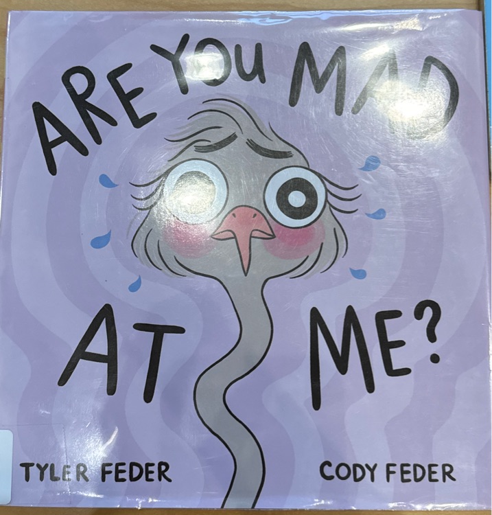 Are you mad at me?