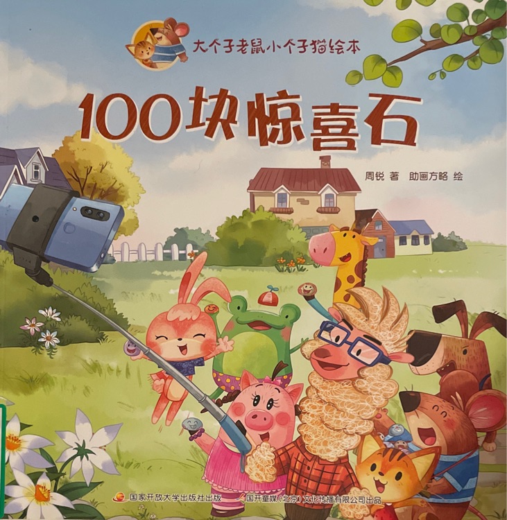 100塊驚喜石