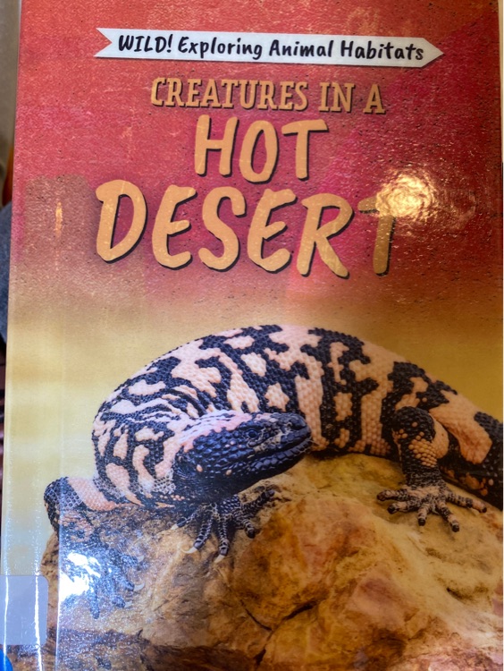 Creatures in a hot desert