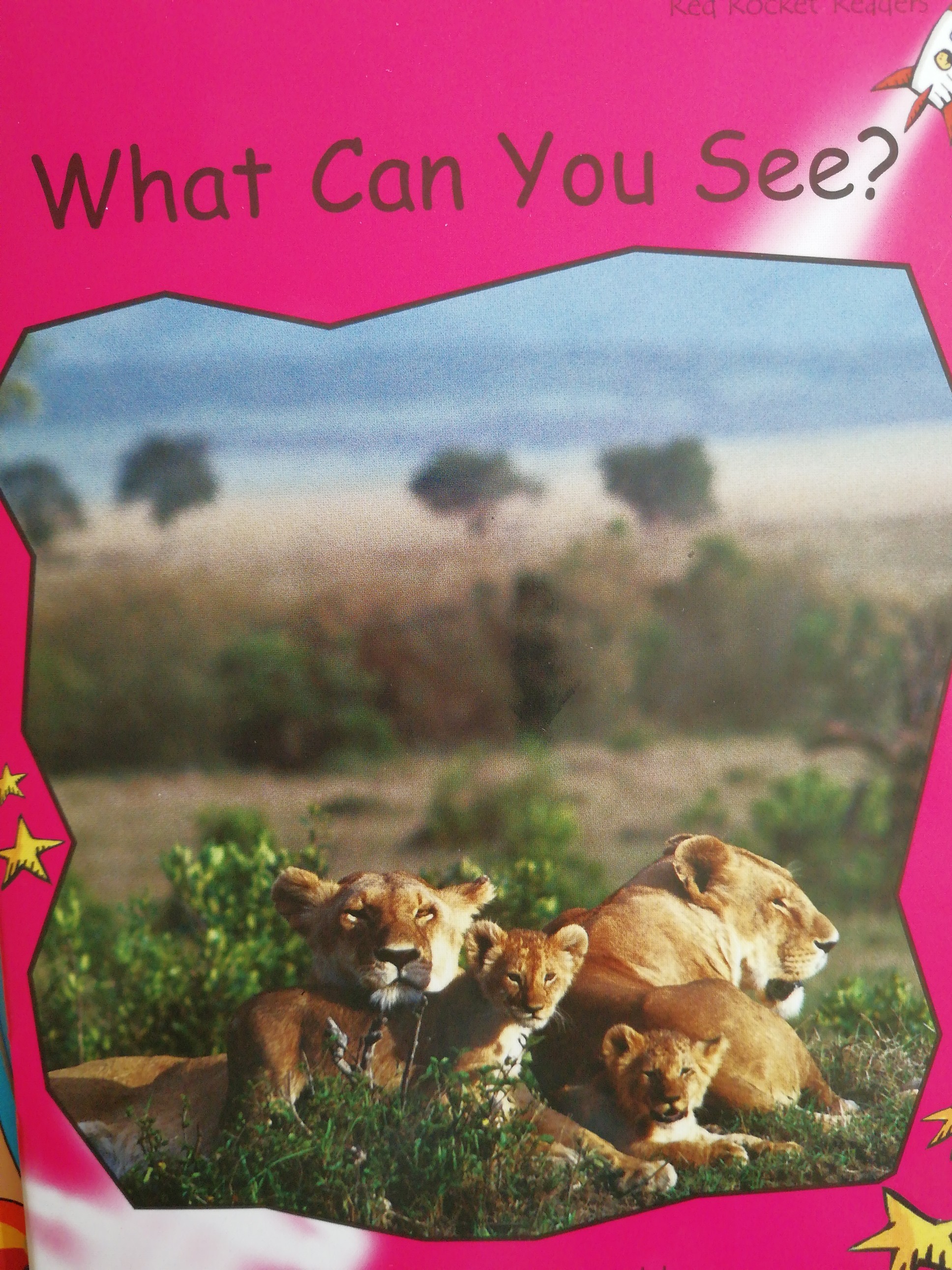 What can you see?