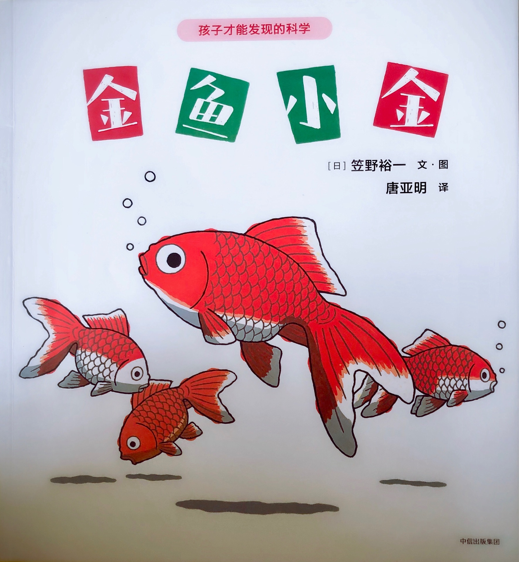 金魚(yú)小金