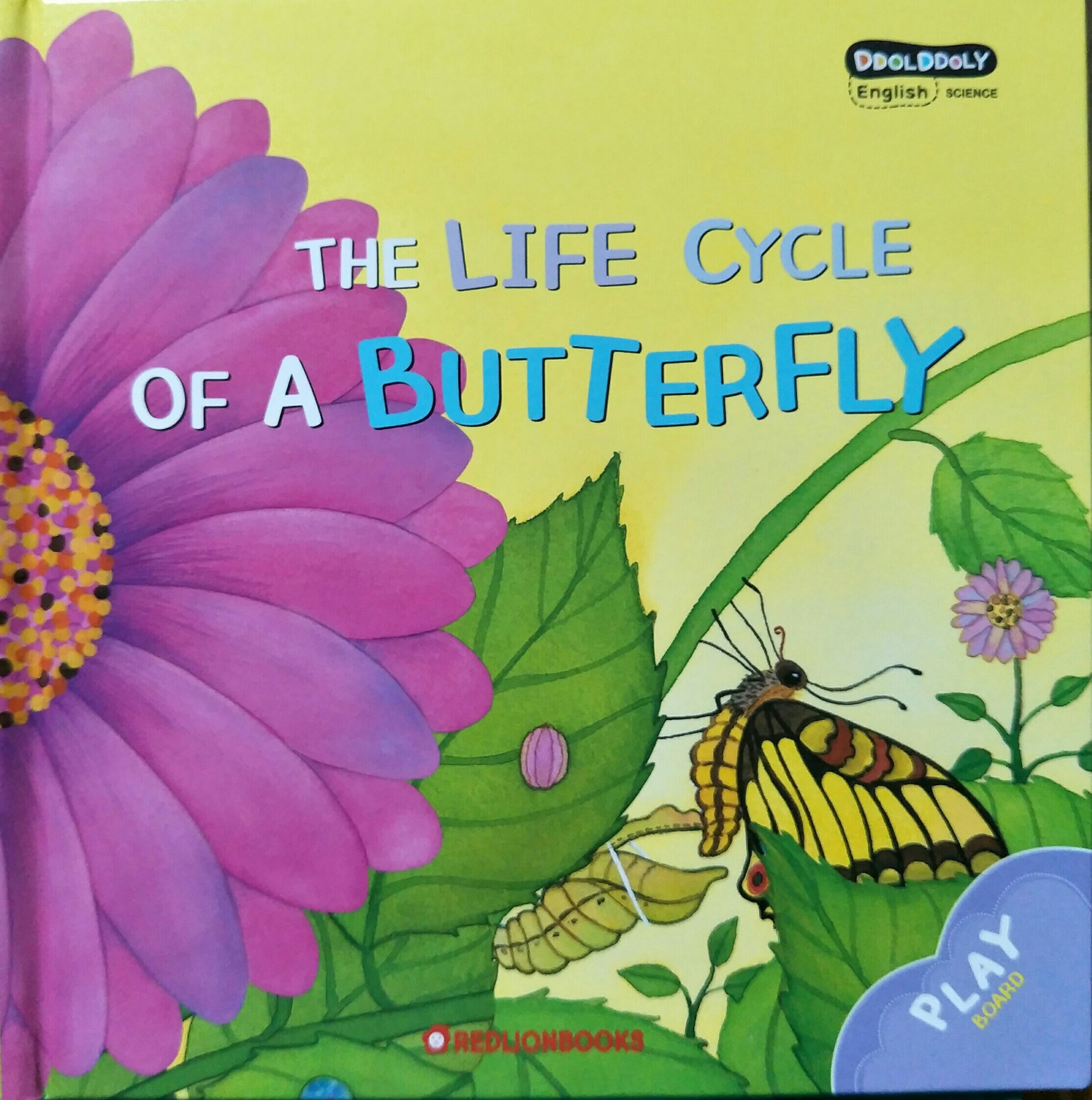 Ddolddoly 51 The life cycle of a butterfly