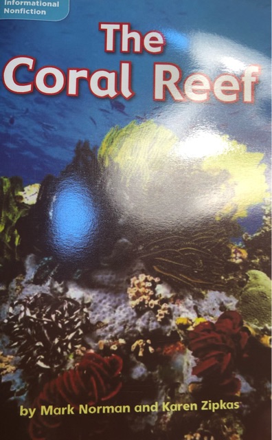 The coral reef