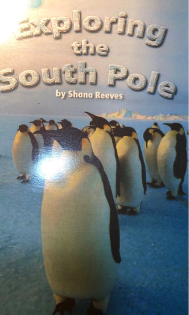 Exploring the South Pole