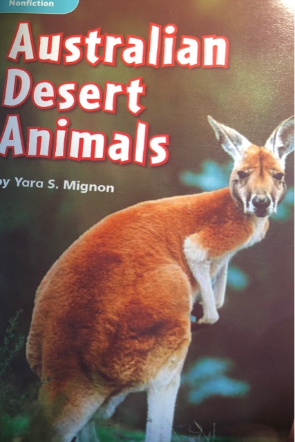 Australian Desert Animals