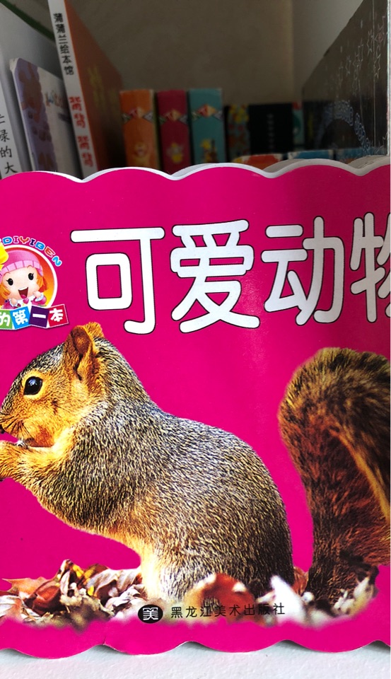 可愛(ài)動(dòng)物
