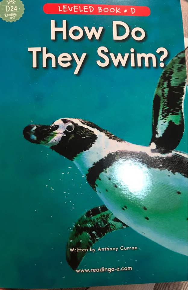 flipper