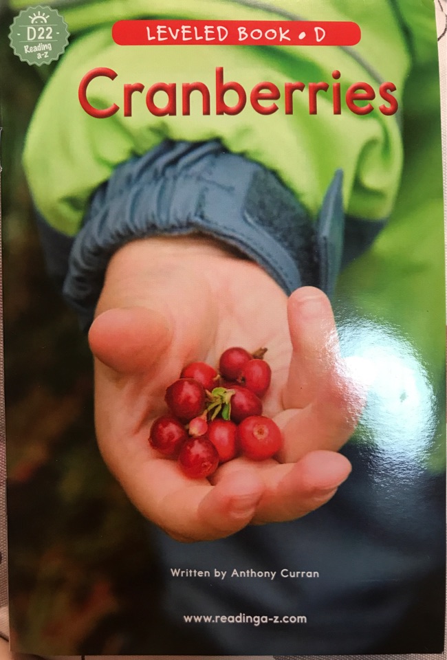 Cranberries bog vine tart