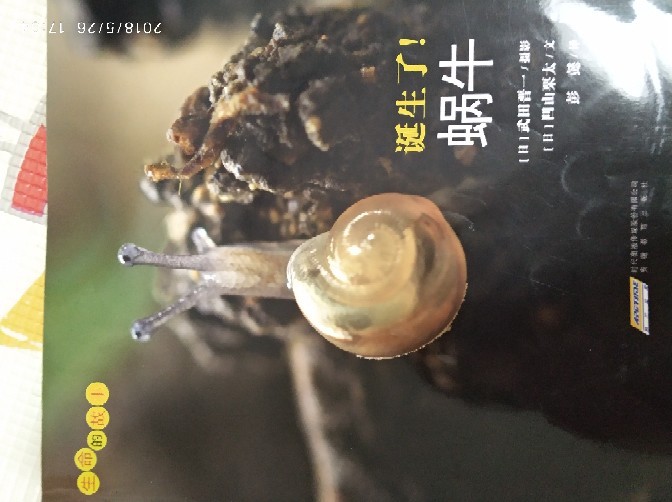 認養(yǎng)一只蝸牛2018