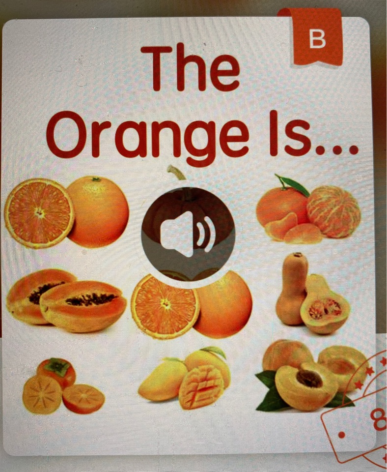 伴魚—the orange is...