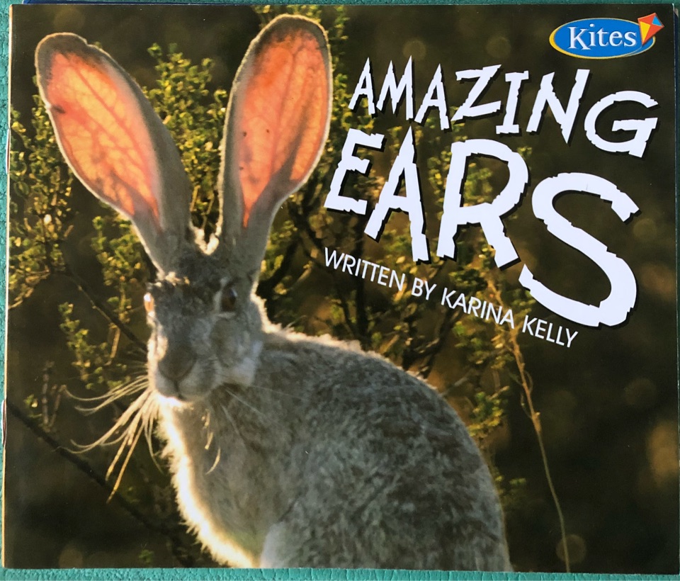 Amazing Ears