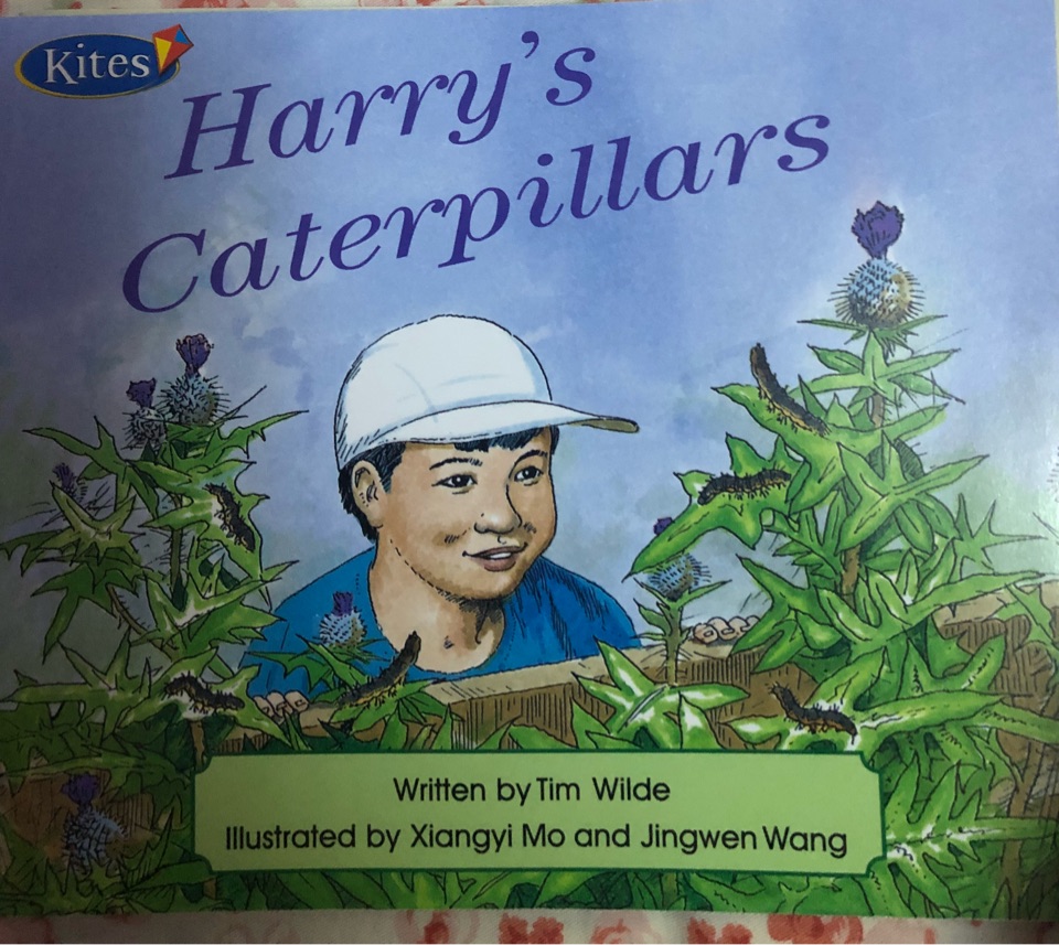 Harry's Caterpillars