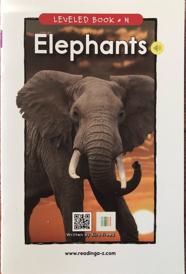 Elephants