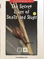 The Secret Lives of Snails and Slugs