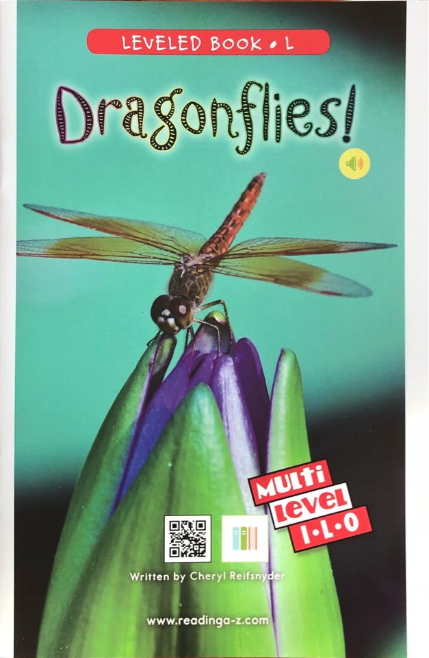Dragonflies
