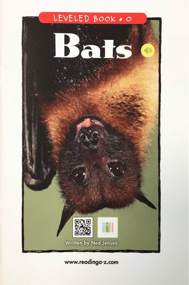 Bats