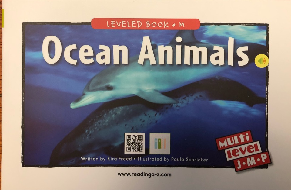 Ocean Animals